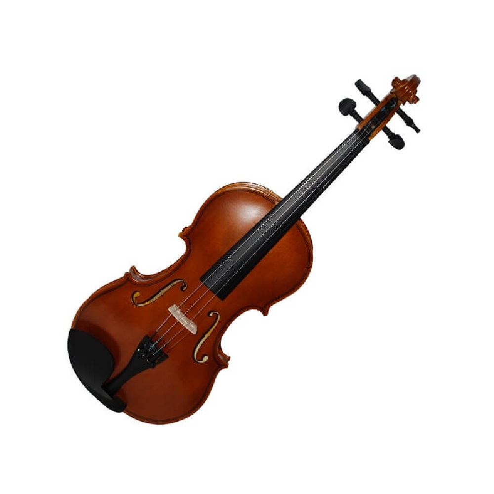 Βιολί με θήκη και δοξάρι F.ZIEGLER VG001-HPM 4/4  - 7496