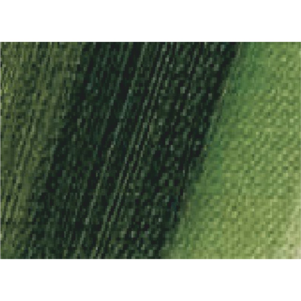 Hagiography powder green dark  50gr - 1