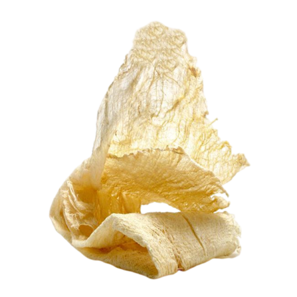Σημύδα Paperdecoration λευκή 30g - 6390