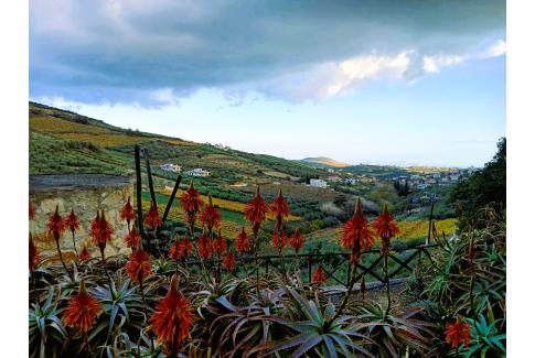 Υπαίθριος Χώρος 