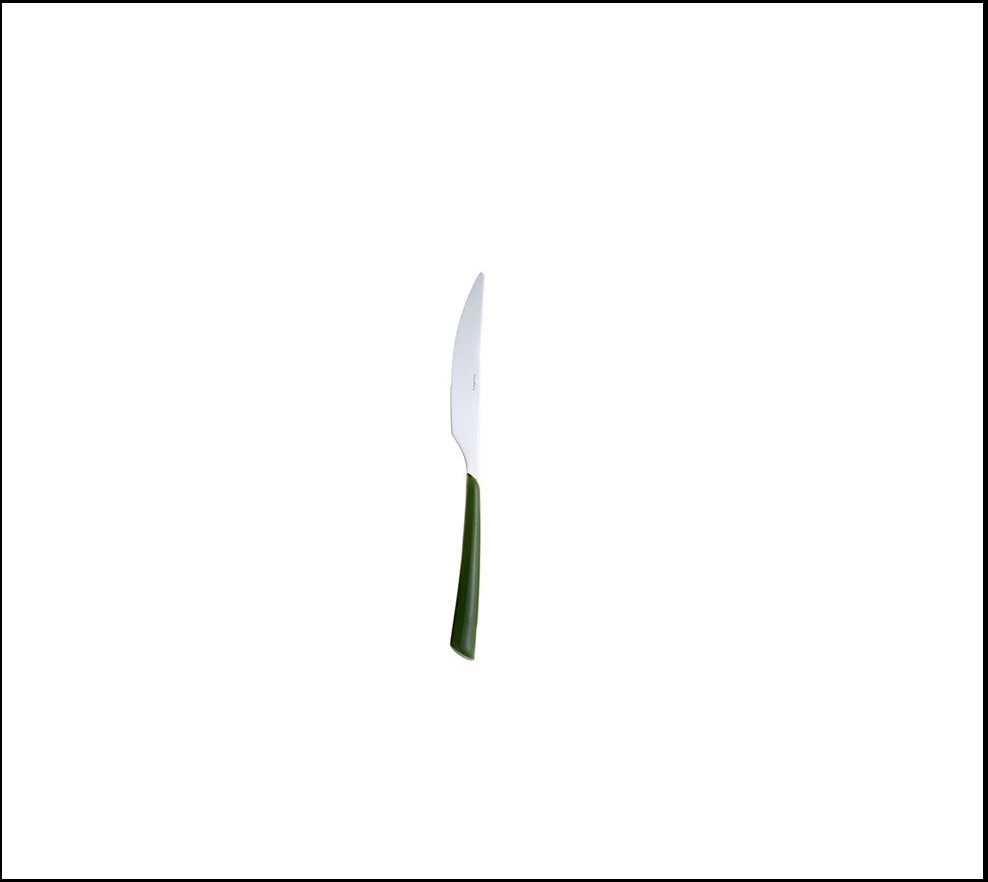 Μαχαίρι Φαγητού Πράσινο-Inox 225×20×5cm CasaMania 1290301