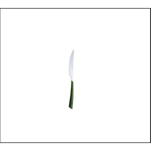 Μαχαίρι Φαγητού Πράσινο-Inox 225×20×5cm CasaMania 1290301 - 31212