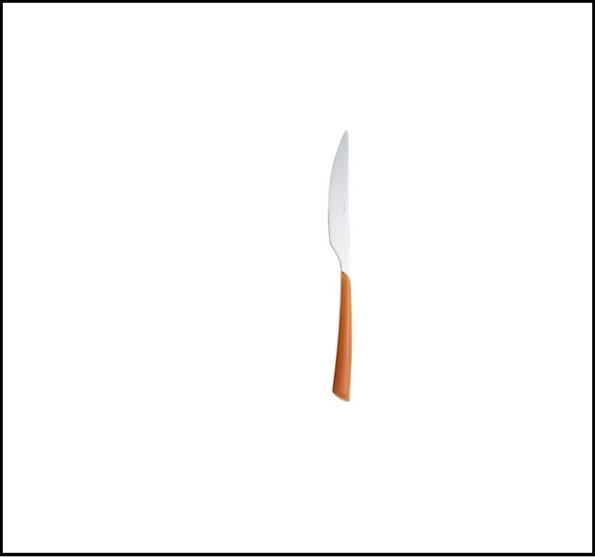 Μαχαίρι Φαγητού Πορτοκαλί-Inox 225×20×5cm CasaMania 1290303