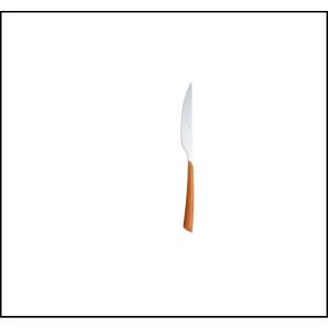 Μαχαίρι Φαγητού Πορτοκαλί-Inox 225×20×5cm CasaMania 1290303 - 31210