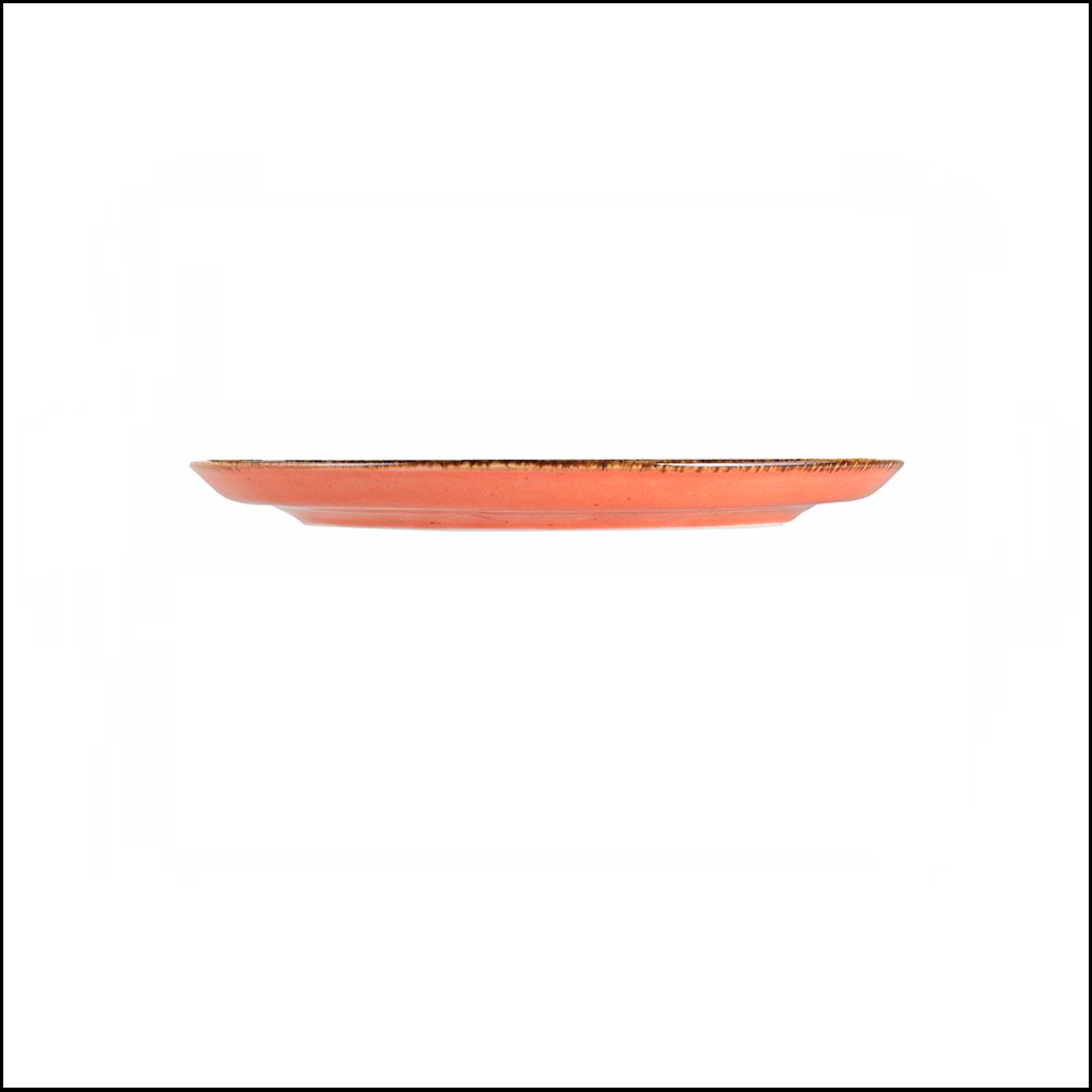 Πιάτο Flat Στρογγυλό Ρηχό Πορσελάνης Φ20cm Season Orange Porland 162920O - 2