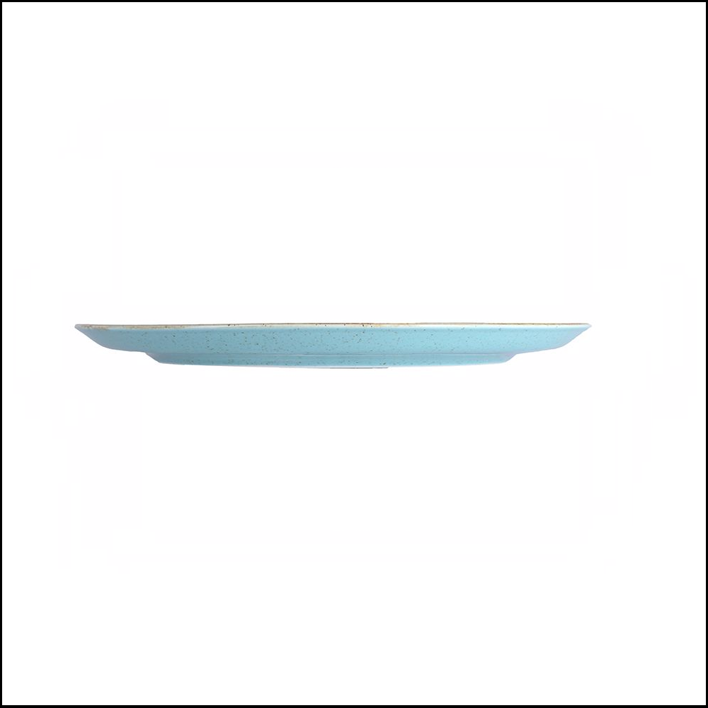 Πιάτο Flat Στρογγυλό Ρηχό Πορσελάνης Φ20cm Season Turquoise Porland 162920T - 2