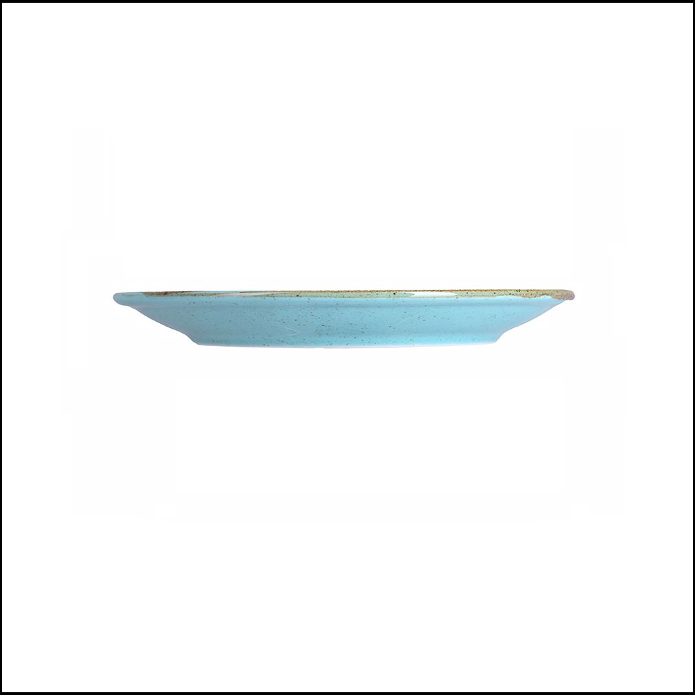 Πιάτο Στρογγυλό Ρηχό Πορσελάνης Φ24cm Seasons Turquoise Porland 187624T - 2