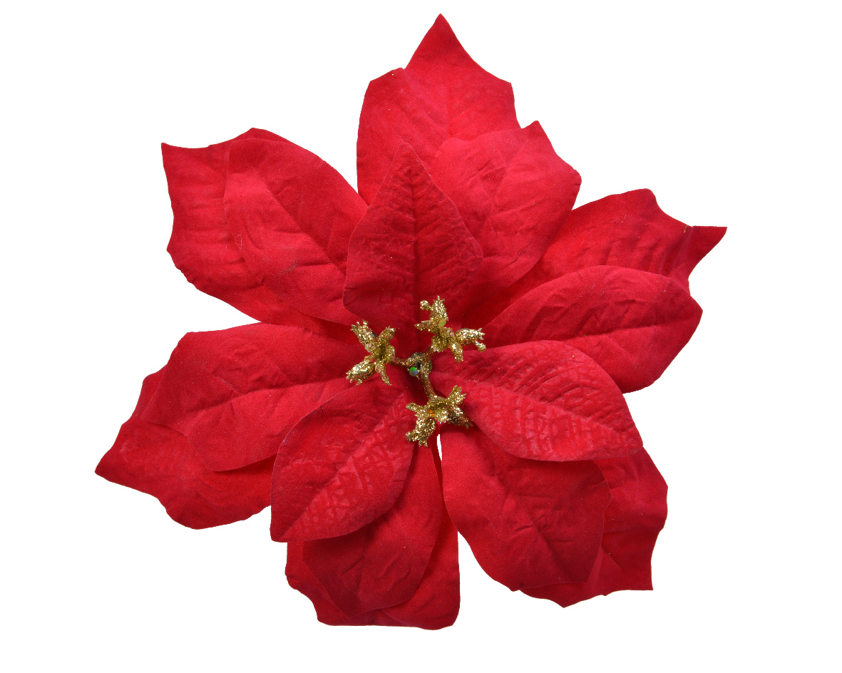 Αλεξανδρινό Λουλούδι Κόκκινο Βελούδινο Σε Κλίπ Πλαστικό 26x26x6cm Kaemingk 629447