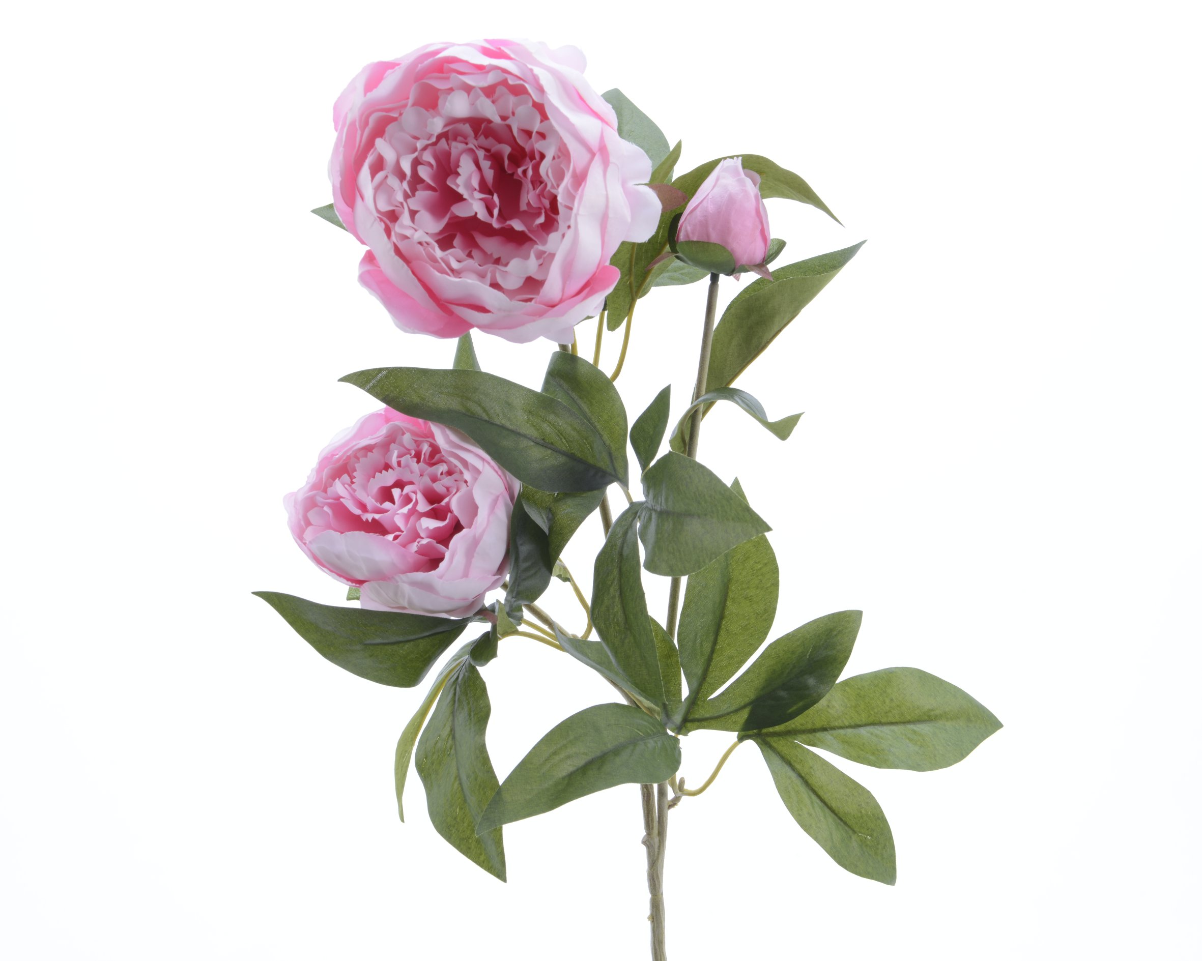 Διακοσμητικός Τριαντάφυλλο Παιώνια Ανοιχτό Ροζ Πολυεστέρας 22x27x75cm Kaemingk 800002