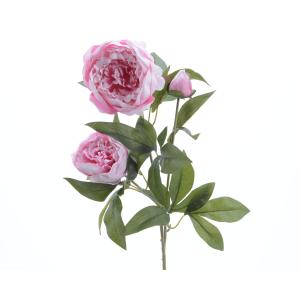 Διακοσμητικός Τριαντάφυλλο Παιώνια Ανοιχτό Ροζ Πολυεστέρας 22x27x75cm Kaemingk 800002 - 30719