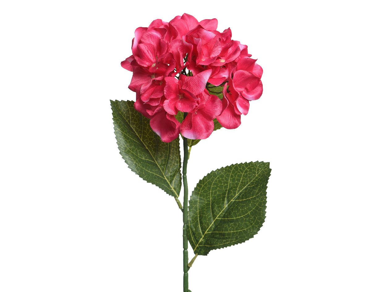 Διακοσμητικό Λουλούδι Ορτανσία Φούξια Πολυεστέρα 17x19x66cm Kaemingk 800050