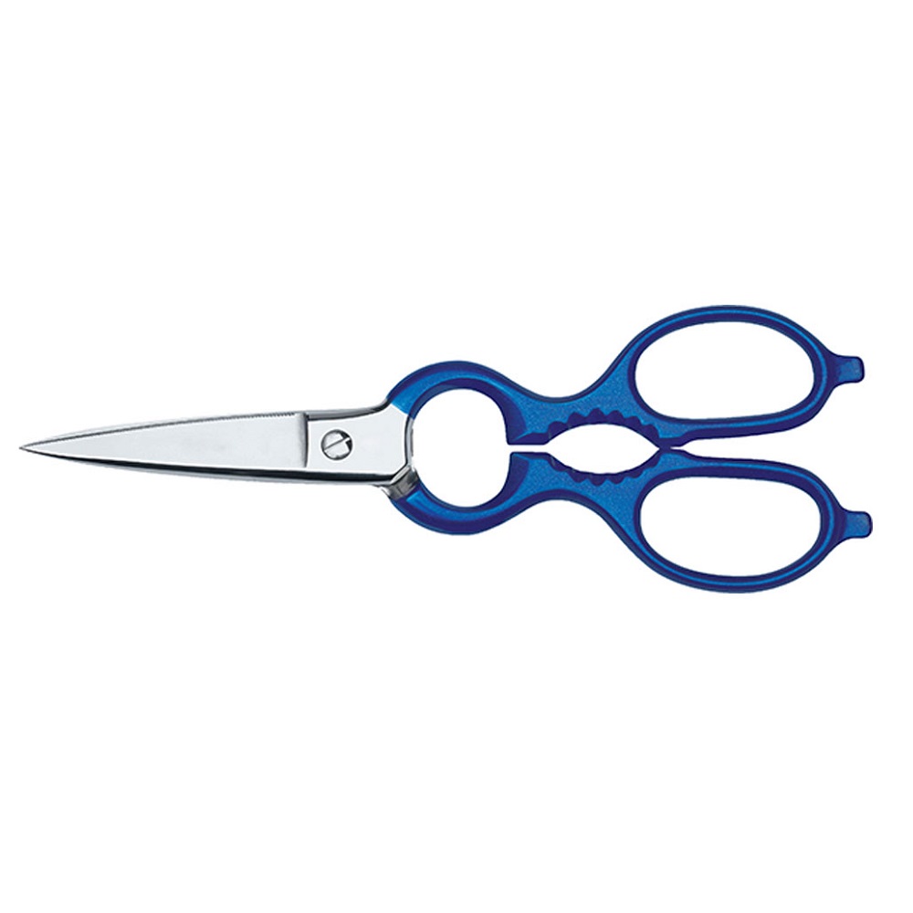 Ψαλίδι ψαριού Ανοξείδωτο 20cm Με Μπλέ Λαβή Fish Shears 47.32998 Icel 951.0201.20