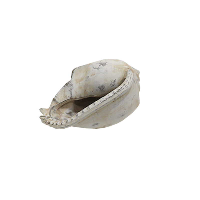 Κοχύλι,Διακοσμητικό,Πολυρεζίν 18,5Χ14Χ11εκ. 95-01161