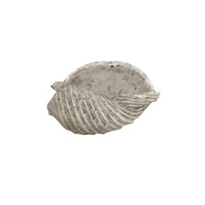 Κοχύλι,Διακοσμητικό,Πολυρεζίν 15Χ11,5Χ8εκ. 95-04820 - 26391