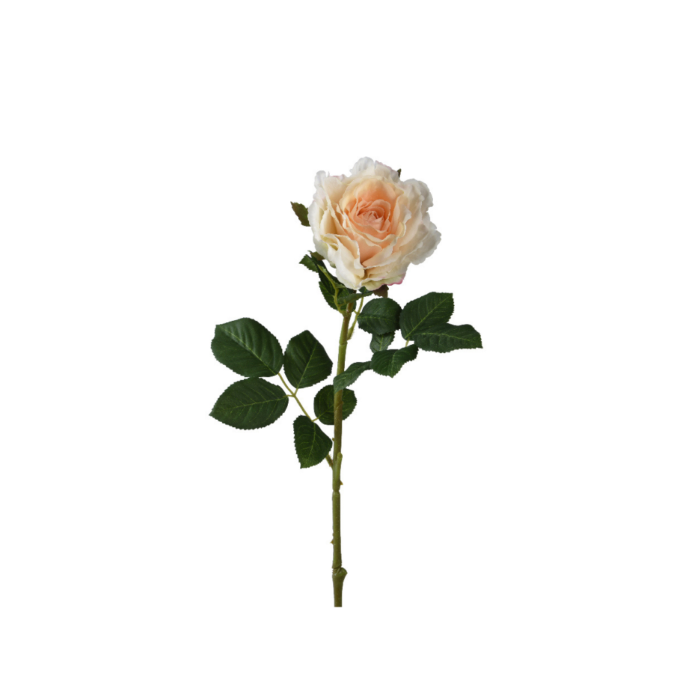 Τεχνητό λουλούδι τριαντάφυλλο μπεζ 804383