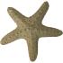 Αστερίας Πέτρινος,Διακοσμητικός,22,5Χ5εκ. 95-01284 - 1