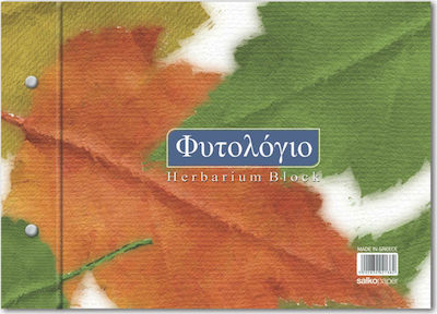 Paper Φυτολόγιο Μπλοκ Scrapbooking 24 τμχ 2138