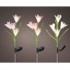 Ηλιακό λουλούδι, λευκό/ροζ/λιλά, 10X65cm - KAEMINGK - 3