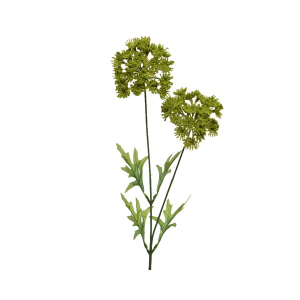 Κλαδί με πράσινο λουλούδι Queenanne, 8,00X15,00X60,00cm - KAEMINGK, 804845