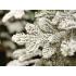 Χριστουγεννιάτικο αλπικό έλατο χιονισμένο, πράσινο/λευκό, μεταλλικό πόδι, διάμ.36Χ150cm - KAEMINGK, 680080 - 1