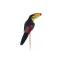 Εξωτικό πτηνό Toucan διακοσμητικό 12 εκατοστά σε 2 σχέδια 12 cm - 1