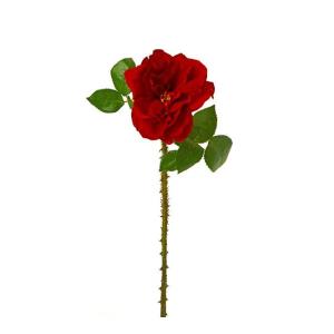 Τριαντάφυλλο με αγκάθια, βαθύ κόκκινο - 12798