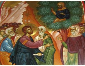 Το κήρυγμα της Κυριακής. Κυριακή ΙΕ´ Λουκά (Τοῦ Ζακχαίου) 25 Ἰανουαρίου 2026