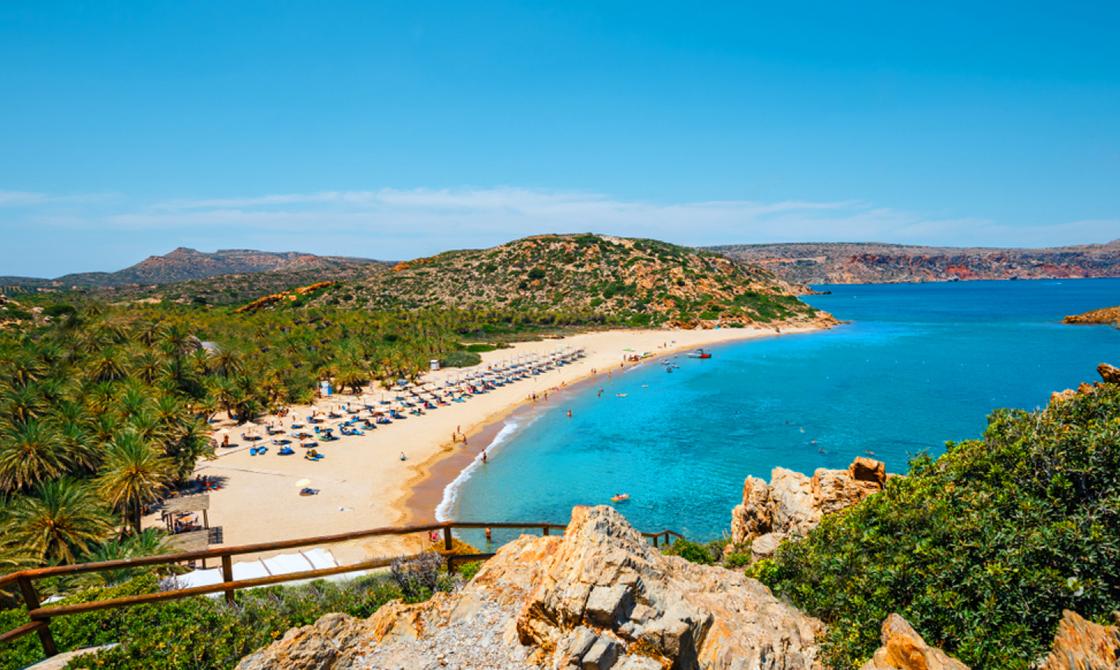 Forêt de palmiers et plage de Vai