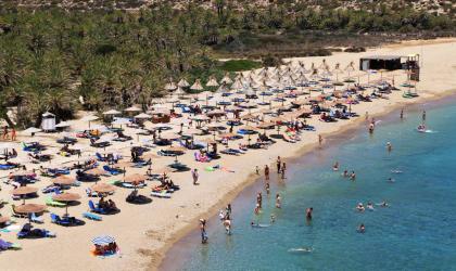 Vai Palm Forest: A Natural Oasis in Eastern Crete