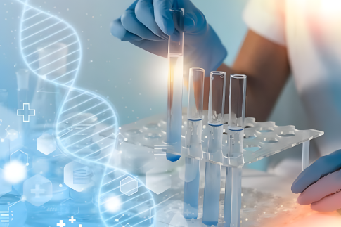  Ορμονολογικές 