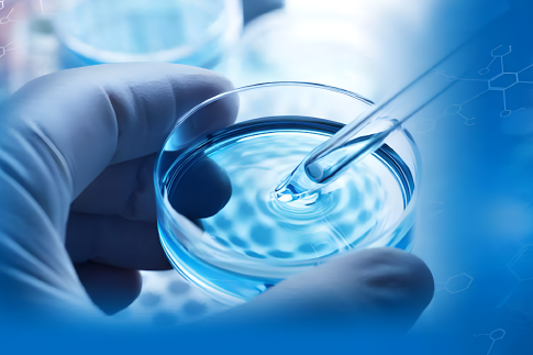  Καλλιέργειες 