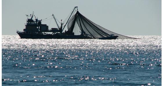 Οικονομική ενίσχυση για την προσωρινή παύση των αλιευτικών δραστηριοτήτων που πραγματοποιείται