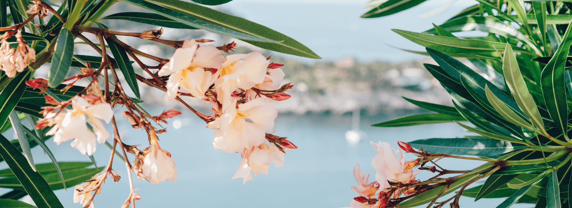 Capturing Crete's Spring Charm: A Guide to the Island's Seasonal Wonders