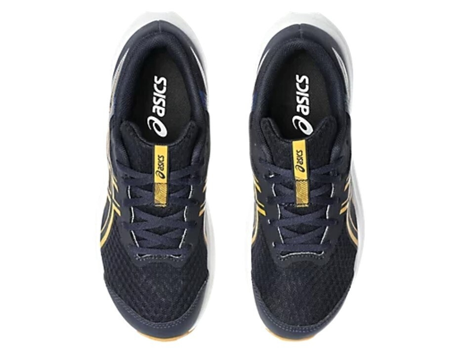 Asics Patriot 14 Gs