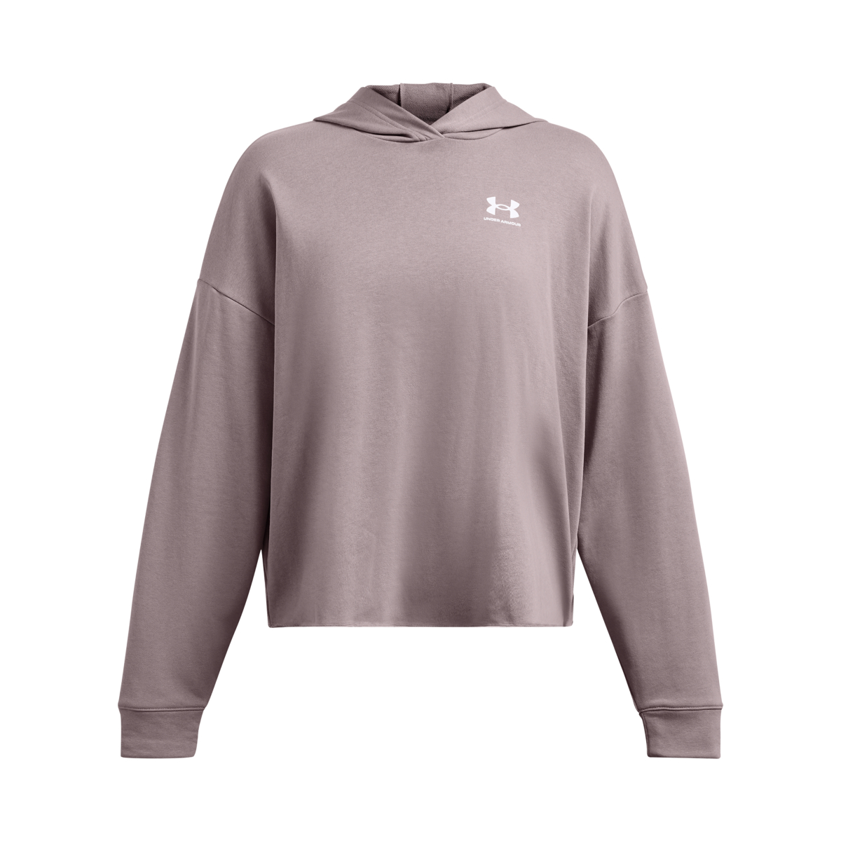 Under Armour Rival Terry Os Hoodie