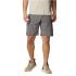 Silver Ridge™ Utility Cargo Short - 0