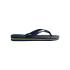 Havaianas Brasil Logo - 2