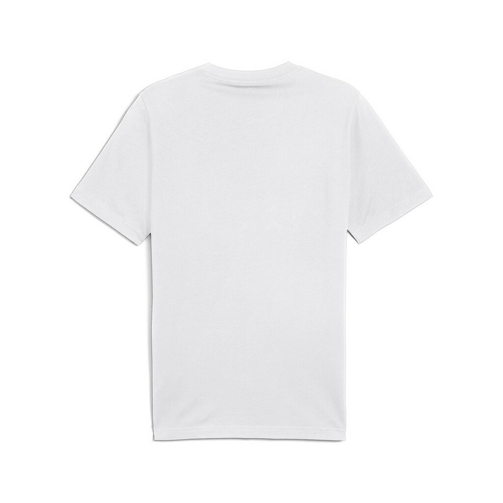 Puma Graphics Mountain Tee