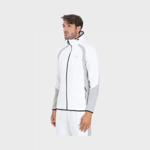 Puma Ανδρική ζακέτα Evostripe Full-Zip Hoodie - 214489