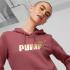 PUMA ESS+ Metallic
Logo Hoodie FL - 2