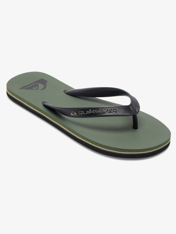 Quiksilver Molokai Core