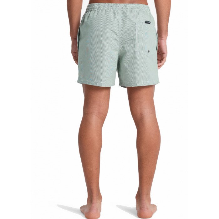 Quiksilver Everyday Deluxe Ανδρικό Μαγιό Σορτς