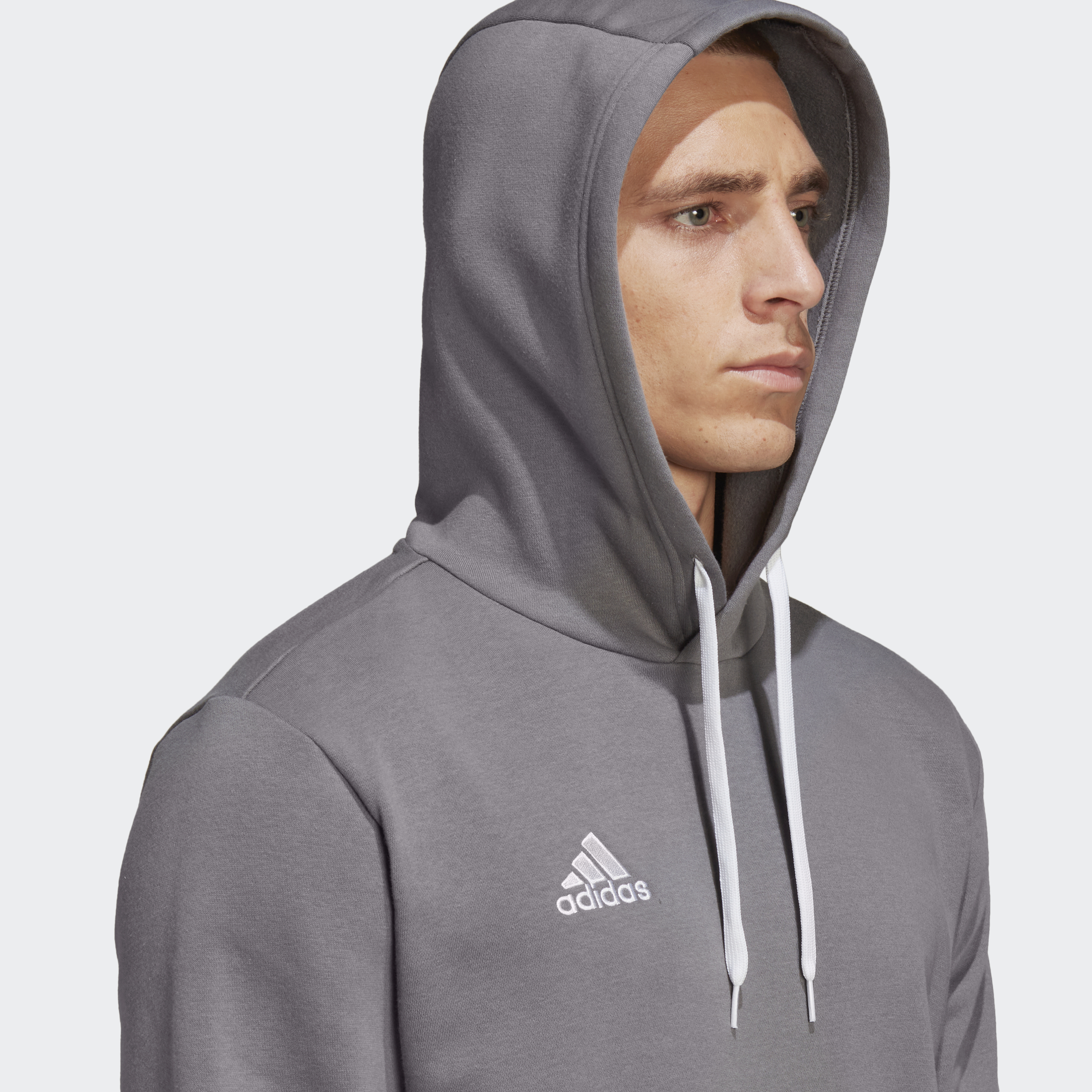 Adidas Entrada 22 Sweat hoodie