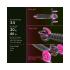 Αθλοπαιδιά Πατίνι Neon Glider Ροζ (53.100966)