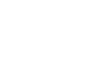 BlueCarRental