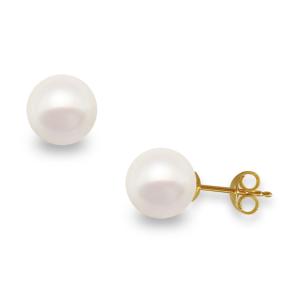 EARRINGS SENZIO Collection with Akoya Pearls and 14K Yellow Gold 418938CN800 - 23263