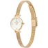 DANIEL WELLINGTON  Petite Mini Evergold White Dial 19mm Gold Stainless Steel Mesh Bracelet  DW00100745 - 1