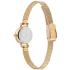 DANIEL WELLINGTON  Petite Mini Evergold White Dial 19mm Gold Stainless Steel Mesh Bracelet  DW00100745 - 2