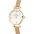 DANIEL WELLINGTON  Petite Mini Evergold White Dial 19mm Gold Stainless Steel Mesh Bracelet  DW00100745 - 3