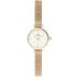 DANIEL WELLINGTON  Petite Mini Evergold White Dial 19mm Gold Stainless Steel Mesh Bracelet  DW00100745 - 0